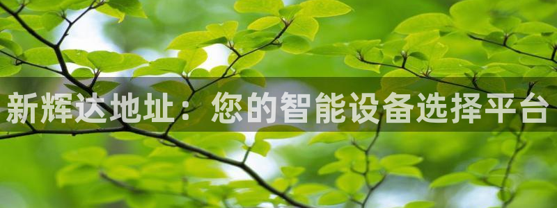 新火娱乐注册