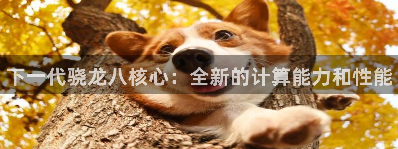 琳琅娱乐官方网站下载
