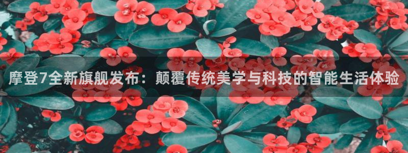琳琅娱乐网页版登