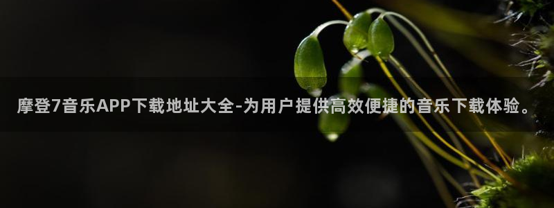 琳琅娱乐加拿大下载