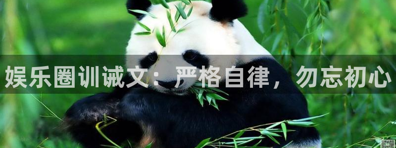 壹号平台下载安装官网
