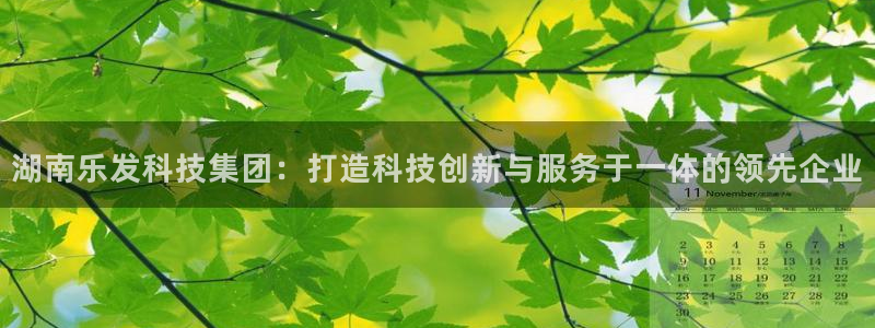壹号电子娱乐app下载