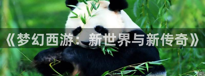 琳琅娱乐分红代理计划