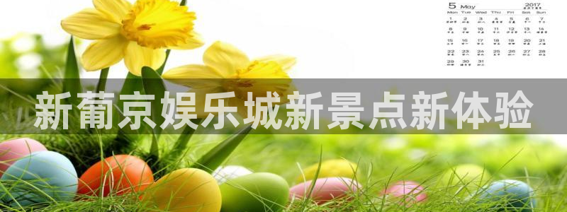 壹号官方app下载安装