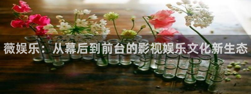 琳琅娱乐官方网站