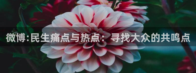 琳琅娱乐预测在线预测