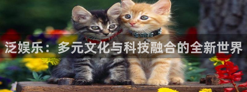 壹号电子娱乐app下载安装：泛娱乐：多元文化与科技融合的全新世界